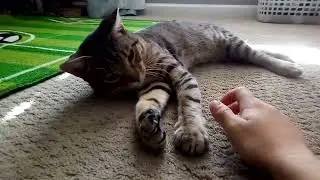 He LOVES to play bite.