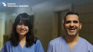 GPCert en Anestesia de peque&ntilde;os animales