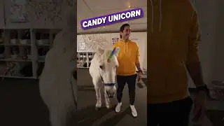 Do you believe unicorns are real? 🦄