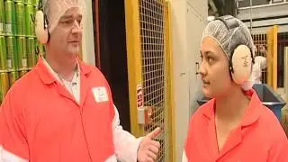 Working in New Zealand 48 -  Outdoor Power Tec, Production Worker, Kura Kaupapa Teacher - JTJS5 Ep 8