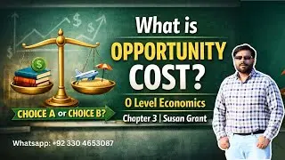 What Is Opportunity Cost? | O Level Economics Chapter 3 | Susan Grant