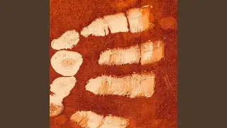 Wooden Skin