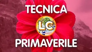 94# TECNICA PRIMAVERILE (APRILE 2025)