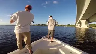 Daytime SNOOK fishing Stuart, FL. artificial swimbait RAW footage!