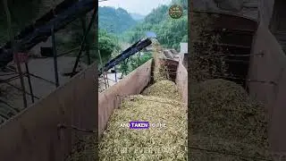 The Power of Eco-Friendly Resources: China's Bamboo Powder Process #bamboo #charcoal  #abiteveryday