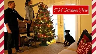 ❆ Oh Christmas Tree Oh Christmas Tree ❆ Vlogmas 1 ❆