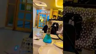 How to Blow Perfect Hookah Smoke Rings (Tutorial) #shorts #hookah #shortfeed #youtubeshorts