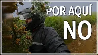 TransPirenaica Offroad 10. FINAL. No pain no gain