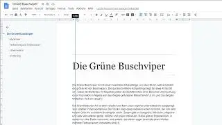 Google Docs: Abs&auml;tze einr&uuml;cken