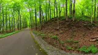 360 Video: 🐿️🥜 Squirrel Hunter XP Rockets Black River Trail on Lectric XP4 750W! Insta360 X5 🚴&zwj;♂️🐿️
