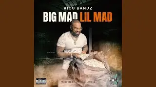 Big Mad Lil Mad (Radio Edit)