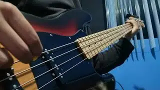 Whirr-Younger Than You (Bass Cover)