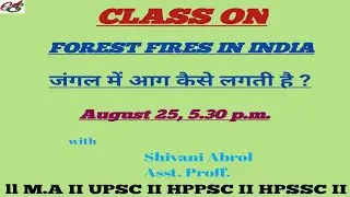 ll FOREST FIRE IN INDIA II  जंगल में आग कैसे लगती है ?