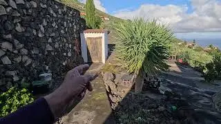 2026_01 xxxx La Palma: Fazit &ldquo;Casa El Mirador&rdquo; in Fuencaliente de la Palma
