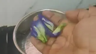 How to make blue tea/blue water/butterfly pea tea recipe 