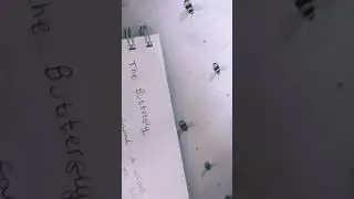 a hole page story
