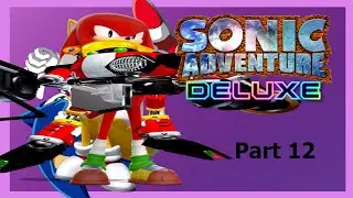 Bird Biology - Sonic Adventure - Part 12