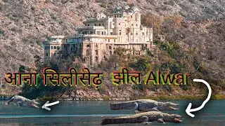 Siliserh Lake Palace Alwar // Crocodile in Siliserh🐊🐊🐊🐊🐊🐊 // NARESH SEEROIYA G //