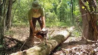 Felling and Milling a Cedar Tree