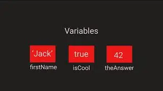 What is a Variable