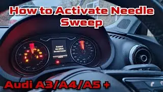 Audi A3/A4/A5/Q3/Q5 8V Активация иглы. Быстрая и простая модификация автомобиля. Активация VCDS.