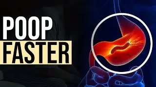 16 Ways To Make Yourself POOP FASTER!