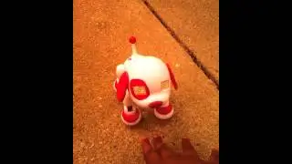 My New Zoomer Puppy!!