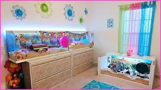 NEW HAMSTER ROOM TOUR 2016!