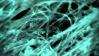 BBC Invisible World Threads of Carbon strongest thing on eatrh Martin Ball