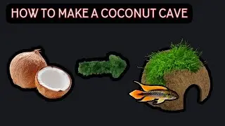 How to Make a Coconut Cave (DIY Coconut House For Fish)