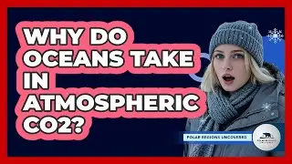 Why Do Oceans Take In Atmospheric CO2?