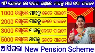 ଏହି ଯୋଜନା ରେ ମାସକୁ ମାସ ଭତ୍ତା ମିଳିବ | Atal pension scheme | APY in post office| @odishajobinformation