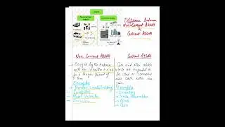 Non current and current assets- IGCSE O/A Level Accounting by Amir Gill