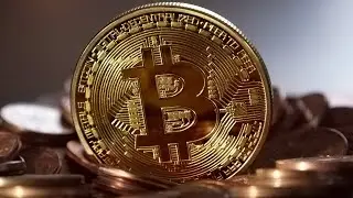 &lsquo;A black swan event&rsquo;: Bitcoin collapses