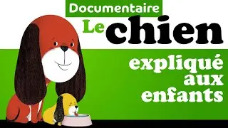 CHIEN CHIENNE CHIOT documentaire animalier pour maternelle