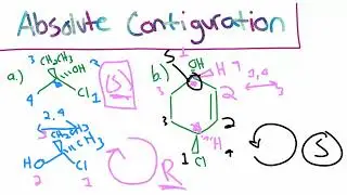 Organic Chemistry 1 Study Session 7