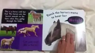 Noisy Farm. My First Touch and Feel Sound Book.