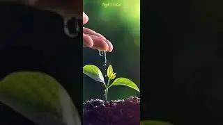 world environment Day status video||  4k full screen #shorts