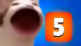 Box opening pains in a nutshell #4 - box opening pains in a nutshell 🐈