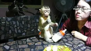 Amazing Good Job! Dodo Make Fun When Eating Watermelon Seed And Milk