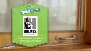 Indoor Mold Fighting Video
