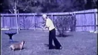 Clear Lake Forest 1975