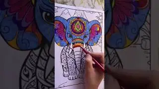 Elephants Coloring Book | Color Pages for Adults #coloringbook #colouringasmr