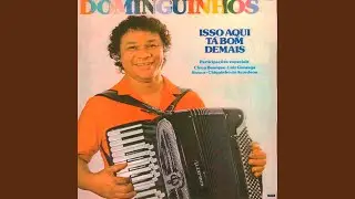 Amigo Velho Tocador