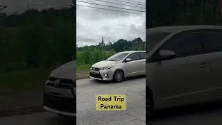 Road Trip | Chico | Panama #shorts #youtubeshorts #nature #panama #travel #animal #dance #wildlife