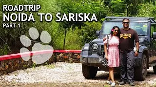 Delhi to Sariska by Road | Weekend Getaways near Delhi