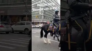 So Cool !Surprised by the NYPD Mounted Unit!Meet the horses that patrol NYC&rsquo;streets#nyc #nypd#shorts