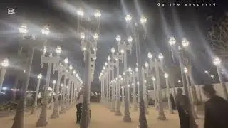 Umbrella Beach at Night Fujairah UAE