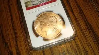 1921 Silver Morgan Dollar NGC New York Stacks