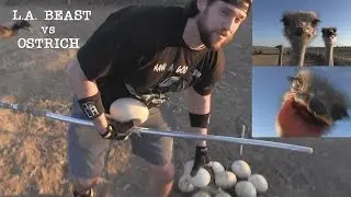 What Happens When A Human Tries to Steal Eggs From An Ostrich Nest | Ft. L.A. BEAST